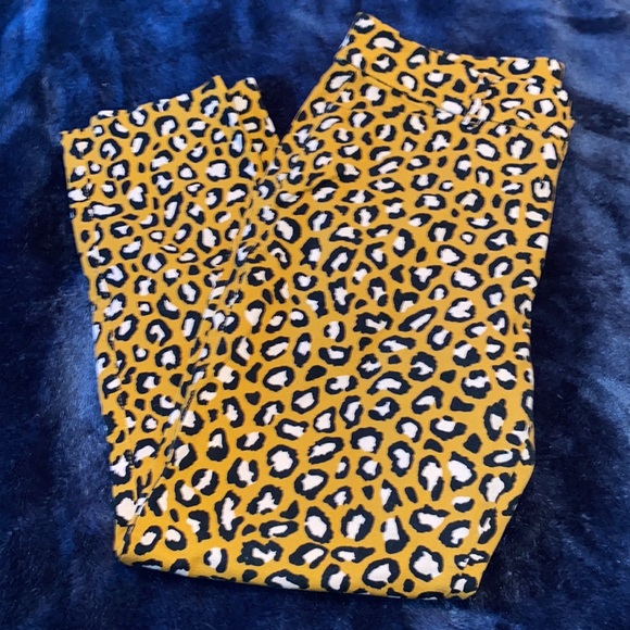 Pixie Leopard Print Pants - Picture 1 of 5